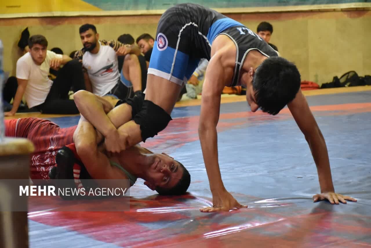 تیم های کشتی آزاد و فرنگی اردبیل قهرمان شد