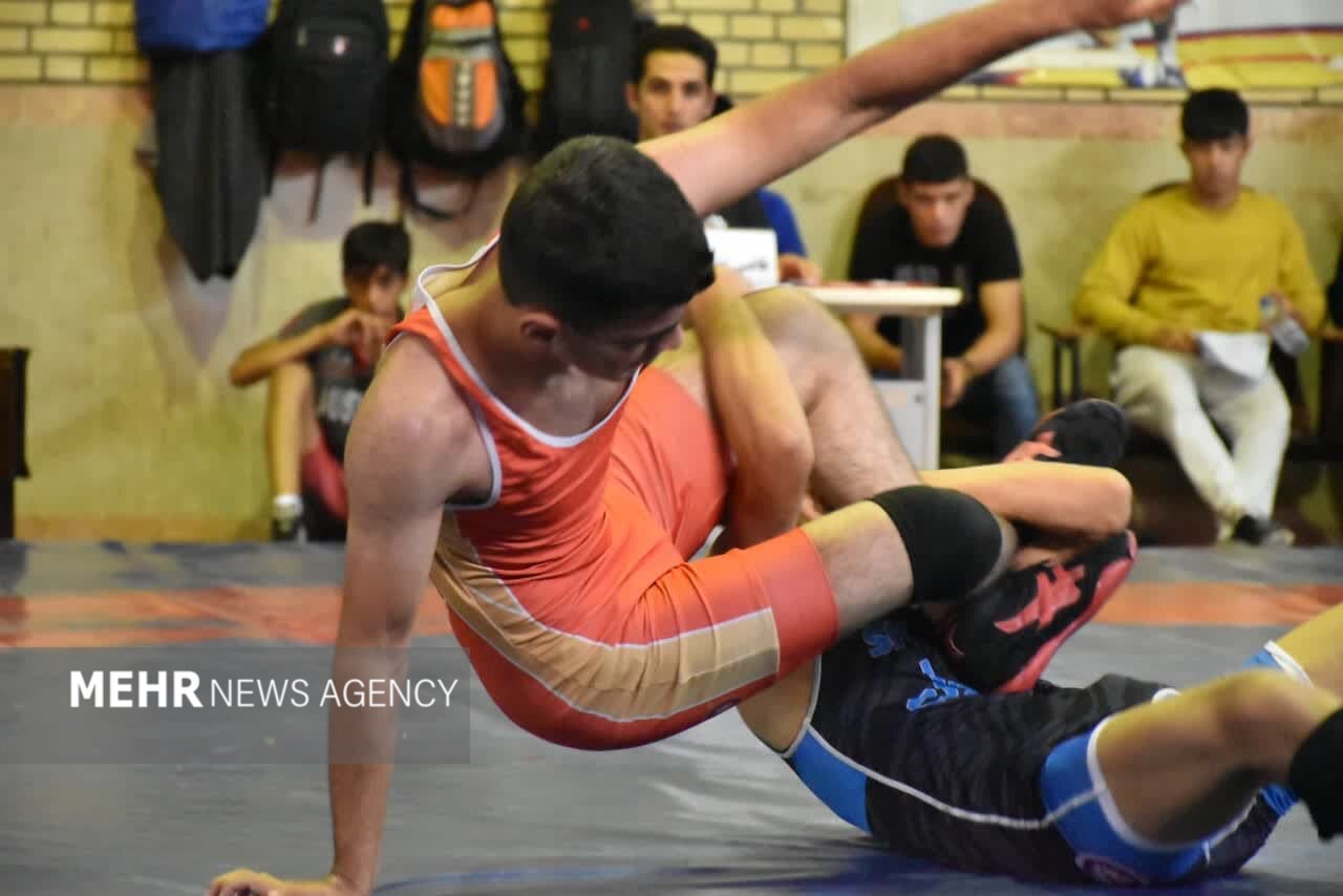 تیم های کشتی آزاد و فرنگی اردبیل قهرمان شد