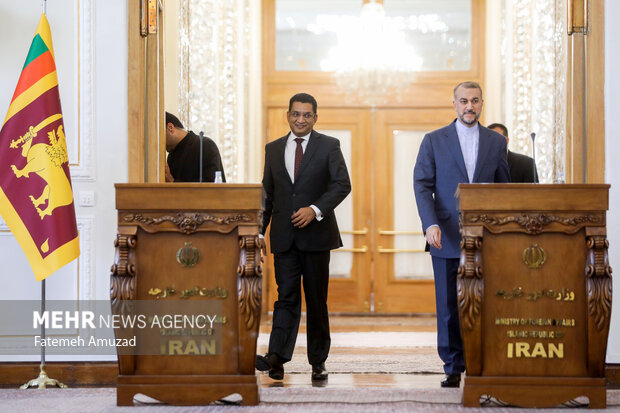 علی صبری، وزیر امور خارجه سریلانکا و حسین امیرعبدالهییان وزیر امور خارجه ایران در حال ورود به محل برگزاری کنفرانس مطبوعاتی مشترک وزرای خارجه ایران و سریلانکا هستند 