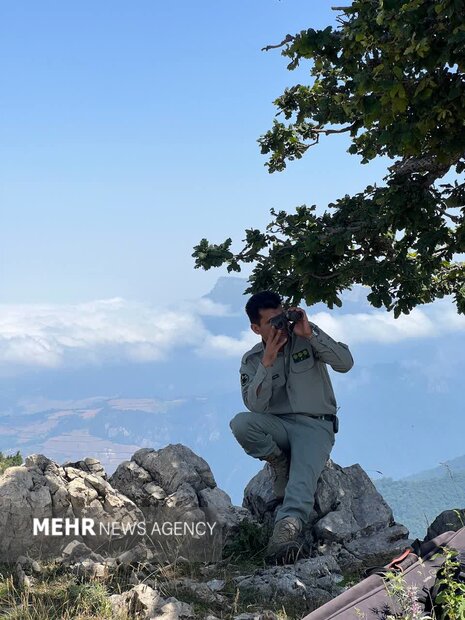 ماجرای درگیری با شکارچیان مسلح در شاهرود/شرور سابقهدار متواری شد