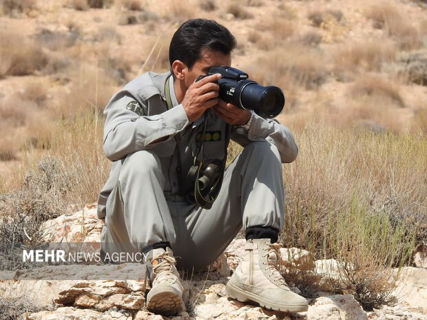 ماجرای درگیری با شکارچیان مسلح در شاهرود/شرور سابقهدار متواری شد