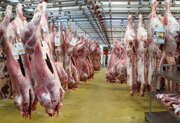 توزیع ۱۲۰۰ بسته گوشت بین خانواده های کم برخوردار هرمزگانی