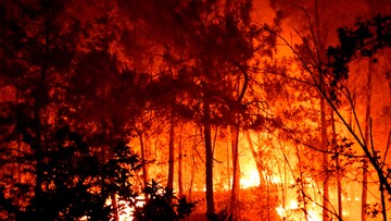 More than 1,000 evacuated as Portugal wildfire spreads