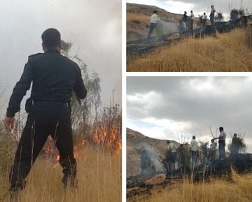 مهار آتش‌سوزی مزارع و منابع طبیعی الیگودرز توسط مأموران انتظامی