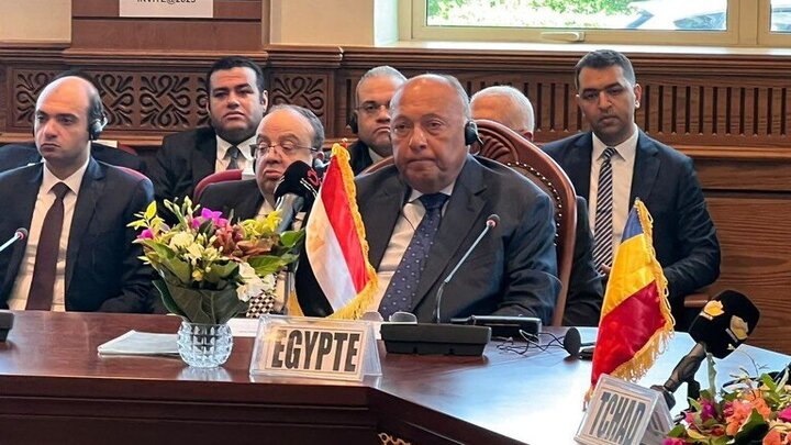 وزير الخارجية المصري يدعو لوضع حد للحرب في السودان