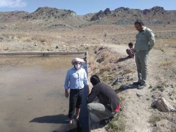 پایش آنفلوانزای فوق حاد در مناطق زیست پرندگان آغاز شد