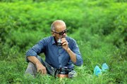 پرداخت ۱۱۳۰ میلیارد تومانی کارخانجات به چایکاران کشور