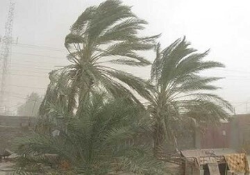طوفان شدید شهرستان گچساران را درنوردید/ قطع برق در شهر دوگنبدان