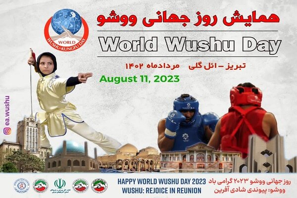 بیش از ۲۵۰۰ ووشو کار در آذربایجان شرقی فعالیت می کنند