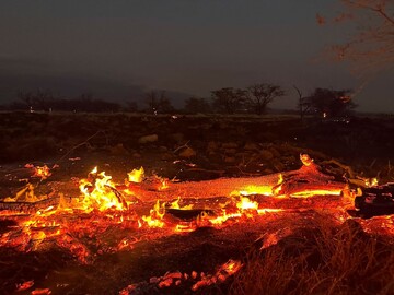 هاوایی همچنان در آتش؛ شمار جان‌باختگان به ۸۰ نفر رسید