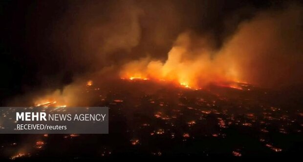 Hawaii'deki orman yangınlarında ölenlerin sayısı 93'e çıktı