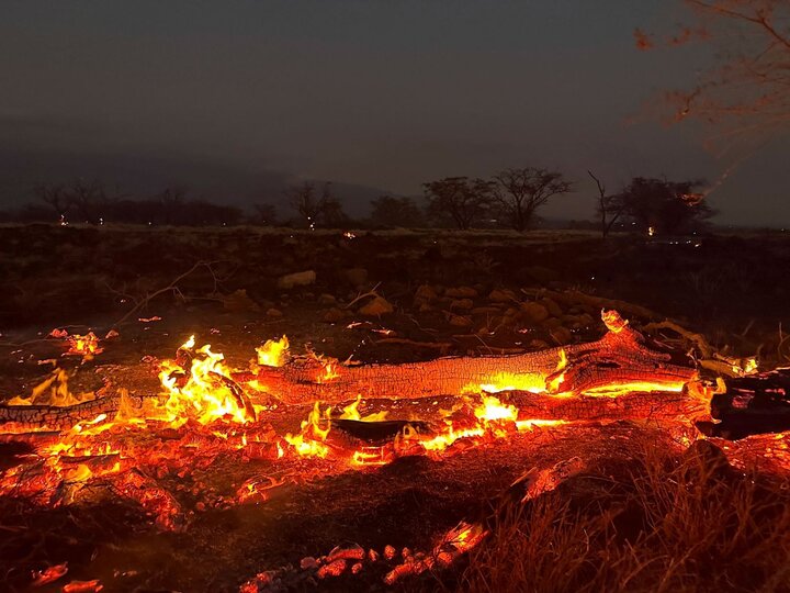 ارتفاع عدد ضحايا حرائق الغابات في هاواي إلى 80