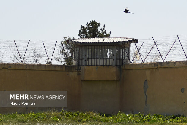 آزادی 315 مددجو از زندان قزلحصار