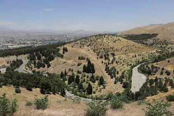 پروژه ۲۰۰۰ هکتار جنگل‌کاری در طرح کمربند سبز پیرامون تهران بهره برداری رسید