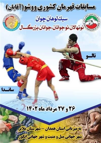 مسابقات ووشو کشور به میزبانی ملایر برگزار میشود