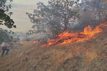 اطفای حریق آتش سوزی جنگل‌های اسلام آبادغرب