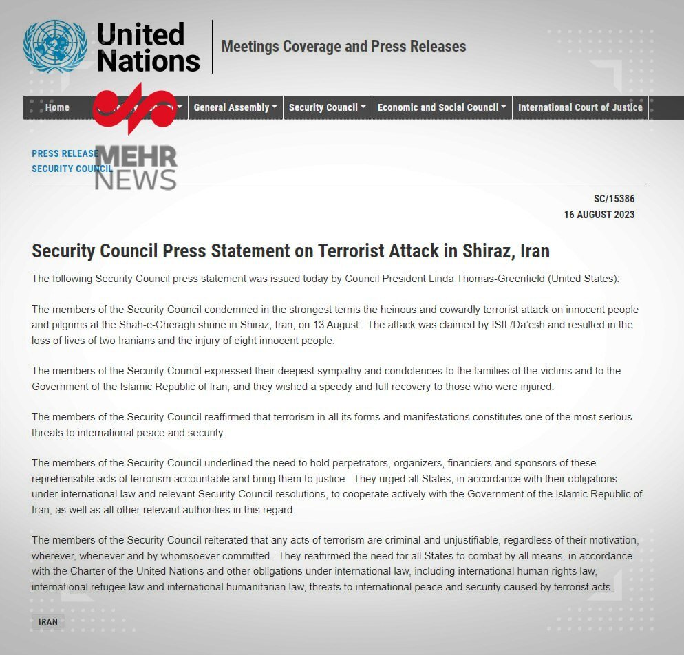 BM Güvenlik Konseyi üyeleri Şiraz'daki terör salrısını kınadı