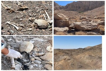 کشف جسد متلاشی شده در ارتفاعات شهر طبس مسینای شهرستان درمیان