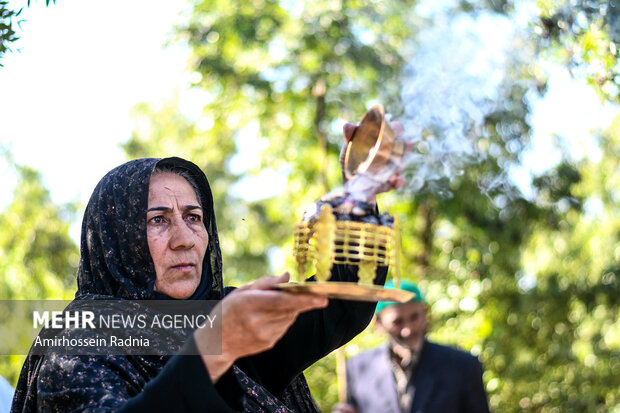 İran'da hünnap hasadı başladı