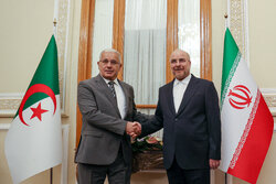 İran ile Ceyazir meclis başkanları Gazze’yi görüştü