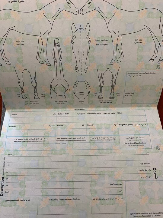 طراحی «گذرنامه» جدید ویژه اسب‌های ورزشی با حداکثر ضریب امنیتی 4