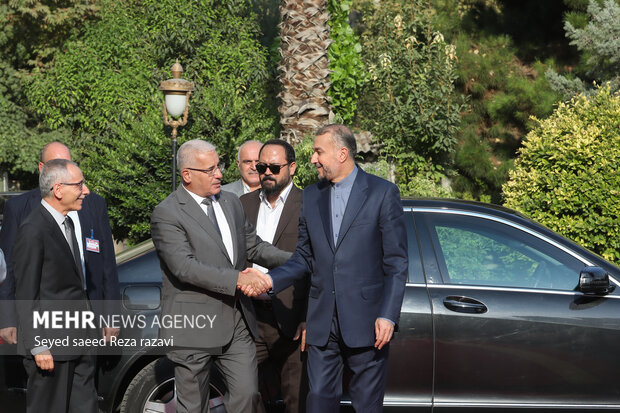حسین امیرعبدالهییان وزیر امور خارجه ایران در حال استقبال از ابراهیم بوغالی، رئیس مجلس الجزایر در محل دیدار وزیر خارجه با رئیس مجلس الجزایر است