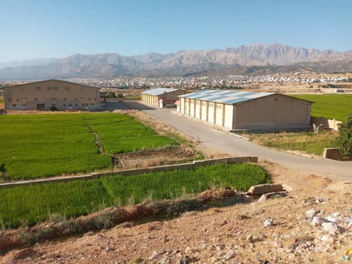 زمین ورزشی در یاسوج شالیزار شد