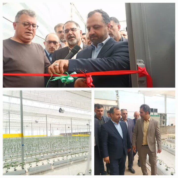 افتتاح گلخانه هیدروپونیک در خرمآباد