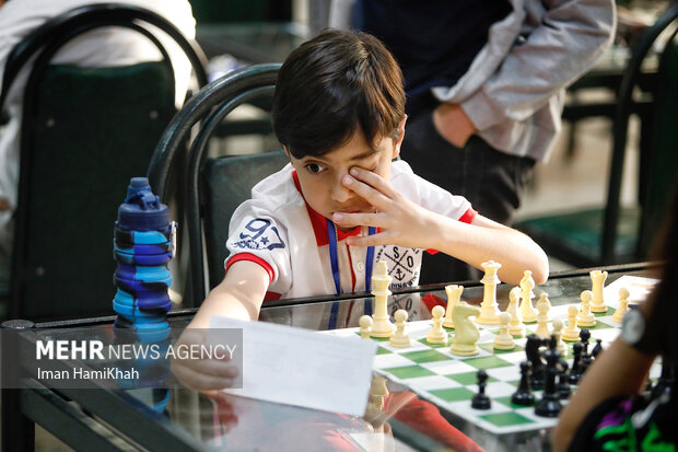 هفدهمین مسابقات بین المللی شطرنج ابن سینا