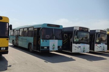 اختصاص ۴ اتوبوس شهرداری بوشهر برای خدمات‌رسانی به زائران اربعین