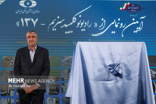 محمد اسلامی رئیس سازمان انرژی اتمی ابران در آئین رونمایی از دستاوردهای هسته ای جدید ایران حضور دارد