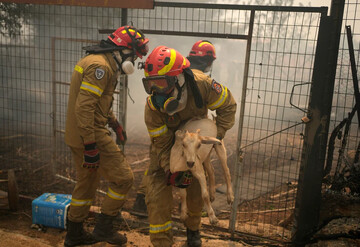 Greece battles Europe's deadliest fire of summer for 10th day