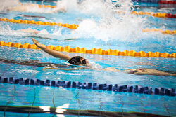 دومین دوره مسابقات شنای جام آزادی