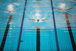 اعزام ۱۹ نماینده شنا و شیرجه ایران به مسابقات رده‌های سنی آسیا
