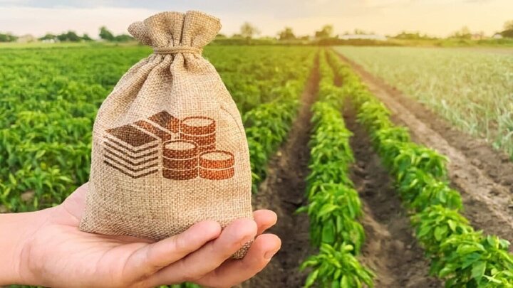 کشت فراسرزمینی در حال پیگیری است / چه محصولی و در کدام کشور؟
