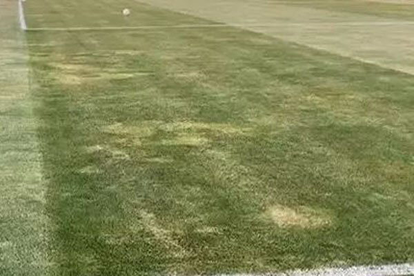 میزبانی آزادی از دو بازی در فاصله چهار ساعته/ در انتظار تصمیم AFC