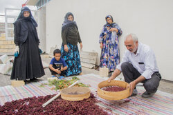 Iran's Hurand hub of sumac production