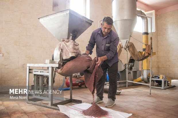 Iran's Hurand hub of sumac production