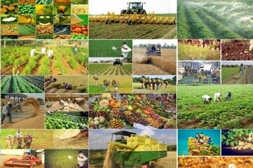 پرداخت ۴۶۰ میلیارد ریال تسهیلات به طرح‌های نیمه تمام کشاورزی در قزوین