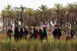 Irak'taki Erbain Yürüyüşünden fotoğraflar