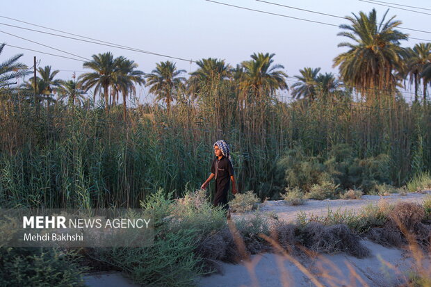Irak'taki Erbain Yürüyüşünden fotoğraflar