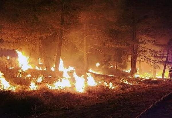 جنگل های شهرستان باشت در آتش می سوزد/ اعزام نیروهای اطفای حریق