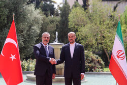 استقبال وزیر امورخارجه ایران از وزیر خارجه‌ ترکیه