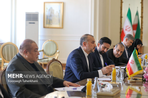 حسین امیر عبداللهیان، وزیر امور خارجه ایران در محل دیدار وزرای خارجه ترکیه و ایران حضور دارد