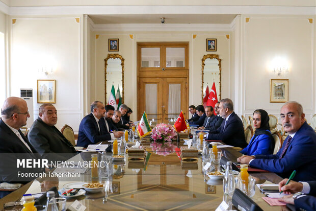 هاکان فیدان، وزیر امور خارجه ترکیه ظهر امروز یکشنبه ۱۲ شهریور ۱۴۰۲ با حسین امیر عبداللهیان، وزیر امور خارجه ایران دیدار و گفتگو کرد