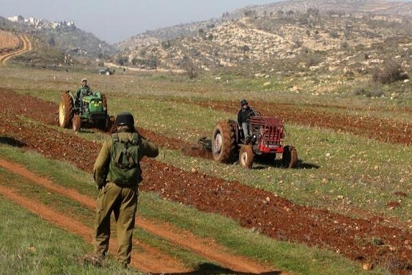 زخمی شدن یک صهیونیست در کرانه باختری
