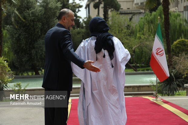 Iran FM welcomes Burkinabe counterpart in Tehran