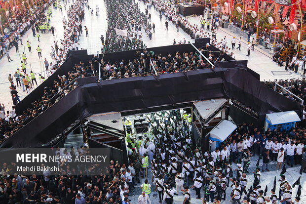 Bani Amer Tribe arrive in Karbala before Arbaeen day