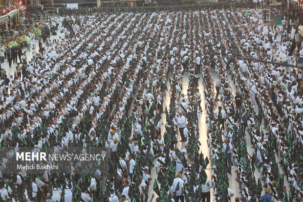 Bani Amer Tribe arrive in Karbala before Arbaeen day