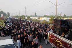 پیاده‌روی جاماندگان اربعین در بوشهر